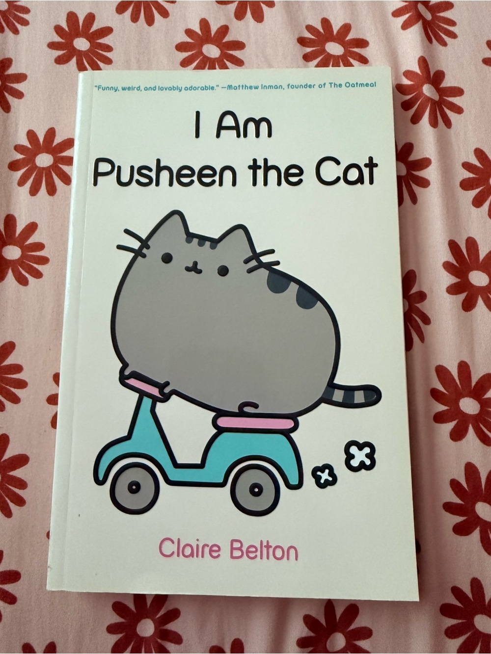 I Am Pusheen the Cat — Gray Cat Illustration ()